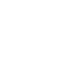 Health icon