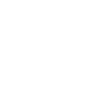 Circular icon